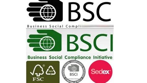bsci认证需要多少钱（bsci是哪个国家的认证） - 羊城网
