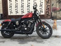 28 Used Harley Davidson Iron 883 in Bangalore. Buy from Owners and ...