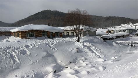 甘肃陇南下雪了，一夜大雪太美了！你那里下雪了？愿你有人暖心