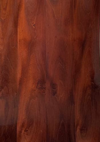 Decidua 2440x1220 mm Silicon Natural Veneer - 3.7 mm – Next Level Decor ...
