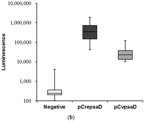 Identification and Functional Analysis of the psaD Promoter of ...
