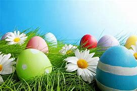 Image result for Happy Easter Baby Bunnies