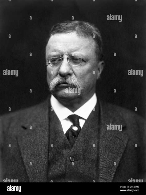 Theodore Roosevelt 的图像结果