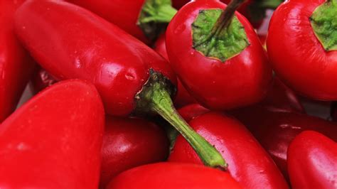 ARCHAEOLOGY OF FRUITS & VEGETABLES - Aleppo Pepper - Chef's Mandala