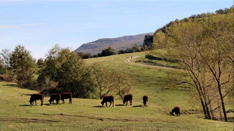 La Garrotxa, un volcán de emociones