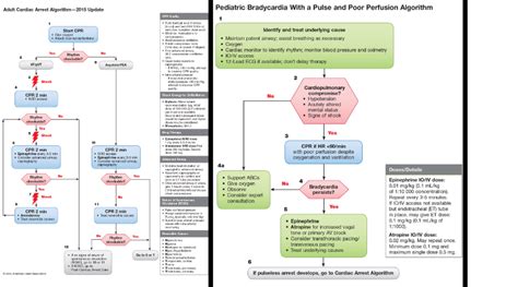 What to know about ACLS algorithms