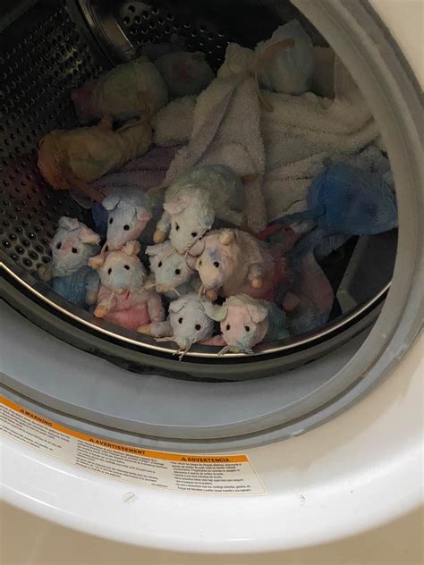 Image result for Visual Tracking