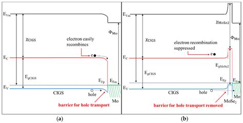 A Numerical Investigation on the Combined Effects of MoSe2 Interface ...
