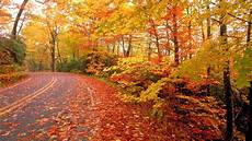 Fall Nature Computer Backgrounds by Nature Fall Wallpapers Wallpaper Cave Fall Nature Computer Backgrounds