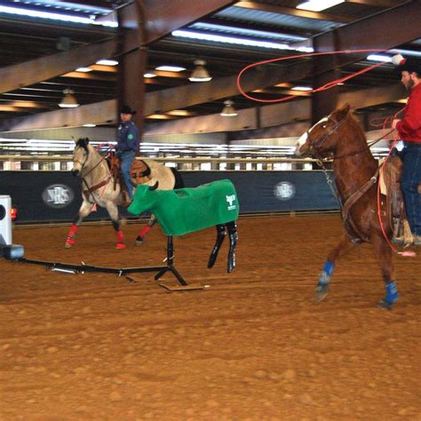 Image result for Team Roping Smarty