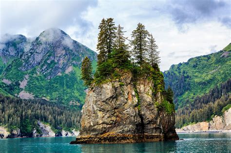 Kenai Alaska Campgrounds: Best Sites & Reservations