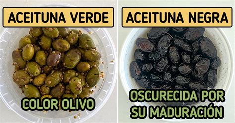 Cómo recordar la diferencia entre aceitunas verdes y negras y dejar de ...