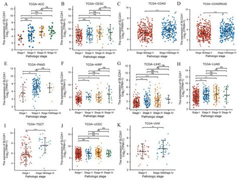 Glycolysis-Related SLC2A1 Is a Potential Pan-Cancer Biomarker for ...