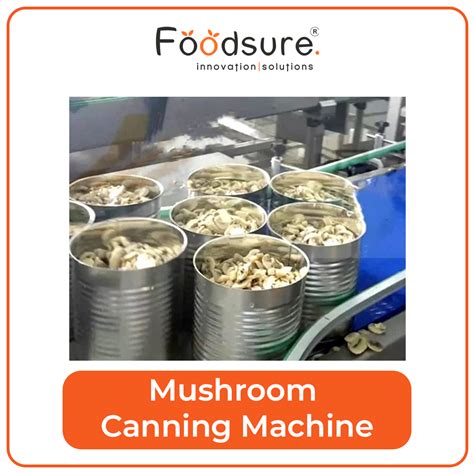Mushroom Canning Machine