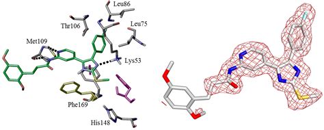 Optimized 4,5-Diarylimidazoles as Potent/Selective Inhibitors of ...