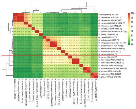 Genomic Insights and Antimicrobial Potential of Newly Streptomyces ...