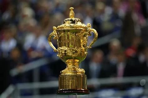 Rugby Trophy 的图像结果