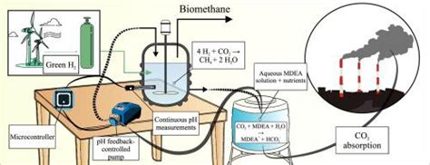 Biomethanation 的图像结果