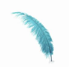 Image result for feather