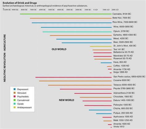 When (and why) humans started getting high on drugs and alcohol