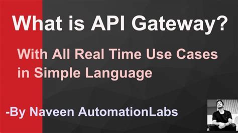 Image result for Naveen Automation Labs API Testing