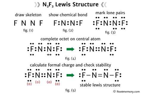 N2F2 Lewis Structure in 6 Steps (With Images)