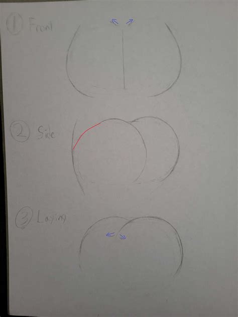 Butt Drawing Tutorial by Jacob-S21 on DeviantArt