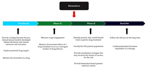 Status of ALS Treatment, Insights into Therapeutic Challenges and Dilemmas