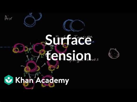 Surface Tension and States of Matter and Intermolecular Forces Video ...
