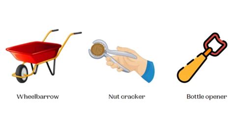 Image result for Class 2 Lever