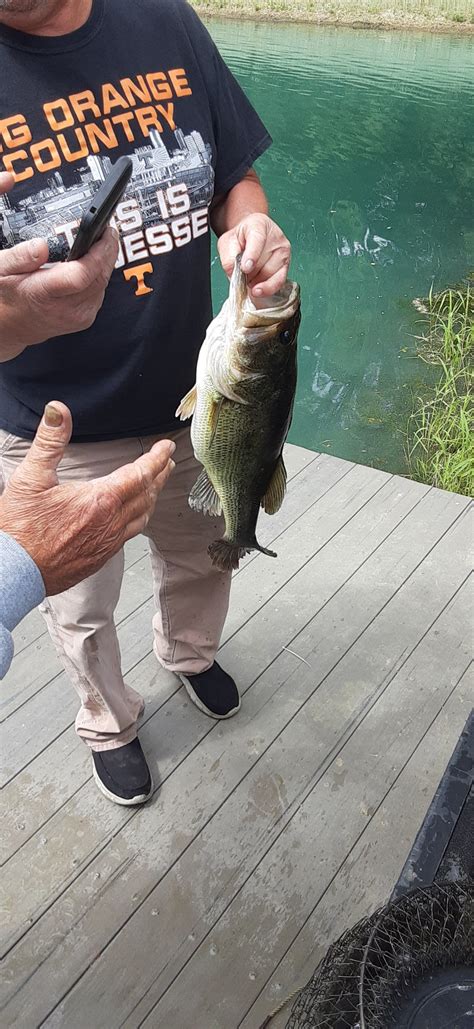 Gallery 2 — Maple Grove Campground