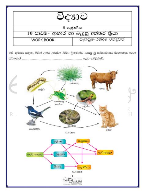 6th Class Science Guide 的图像结果