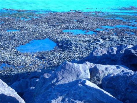 Dark Thoughts: Poetry from a Borderline Mind eBook : Cameron, Julie ...