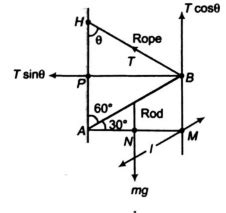 A uniform rod AB of mass m is hinged to a wall at its lower end, while ...