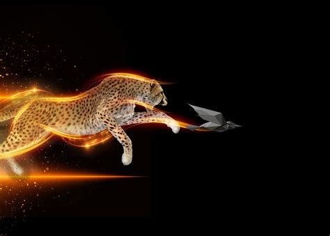 Image result for Speed Video Editing