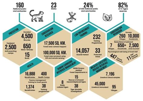 Impact - Wildlife Conservation Trust