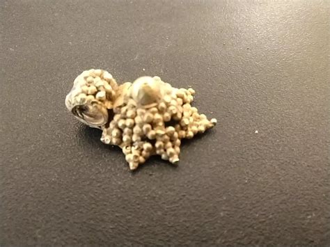 Gold ornament unearthed at Vembakottai