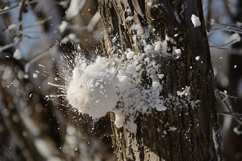 Image result for Exploding Tree in Winter