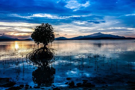 Ocean Monument Tutorial 的图像结果