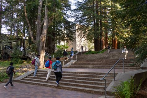 Employment Misconduct Disclosure – Career Success