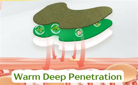 Knee Patch for Pain Relief, Pack of 30 - Wormwood leaves Dried Ginger ...