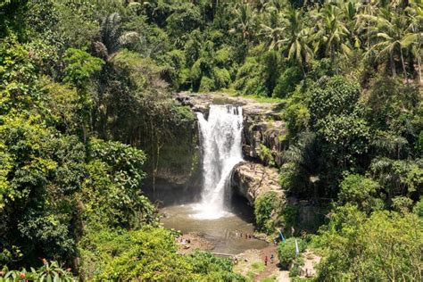 Tegenungan Waterfall in Bali: Hiking, Entrance Fee, & How to Reach!