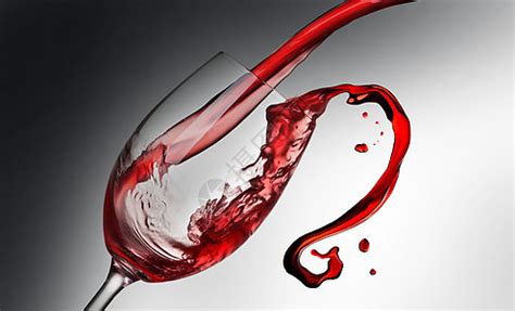 进口招商企业:葡萄酒资讯网（www.winesinfo.com）