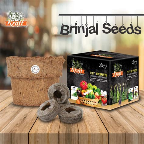 DIY Series Seed Growing Box Of Brinjal Long Seeds Kitchen Garden ...