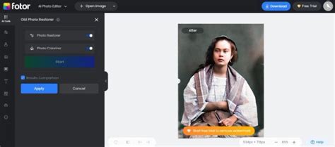 Fotor Colorizer 的图像结果