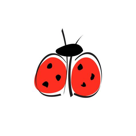 Ladybug Flying Drawing Illustrations, Royalty-Free Vector Graphics & Clip Art - iStock