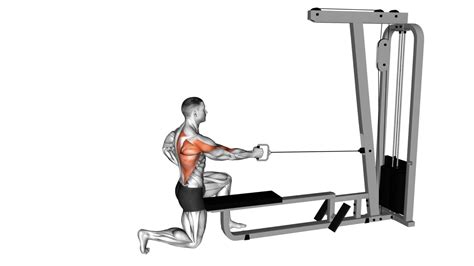 Image result for Good Back Workouts Using Bands