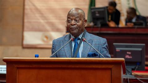 Pan-African Parliament Adopts Crucial Report on Reparative Justice, Advances African Union (AU ...