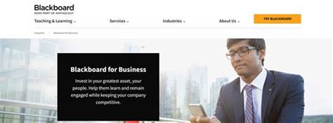 LMS Comparison 的图像结果