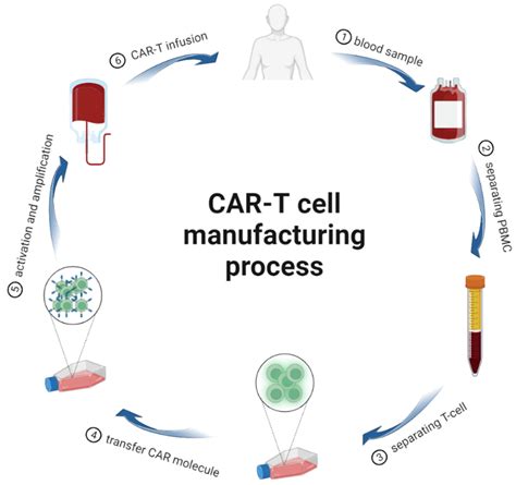 Gene Targets of CAR-T Cell Therapy for Glioblastoma